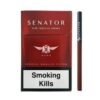 Senator Nano Pipe Tobacco Sigara – Pipo Tütünü Aromalı